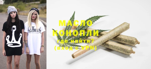 mix Богородицк