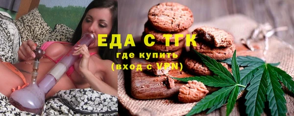 индика Богданович